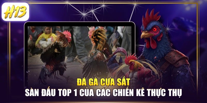Đá Gà Cựa Sắt - Sàn Đấu Top 1 Của Các Chiến Kê Thực Thụ