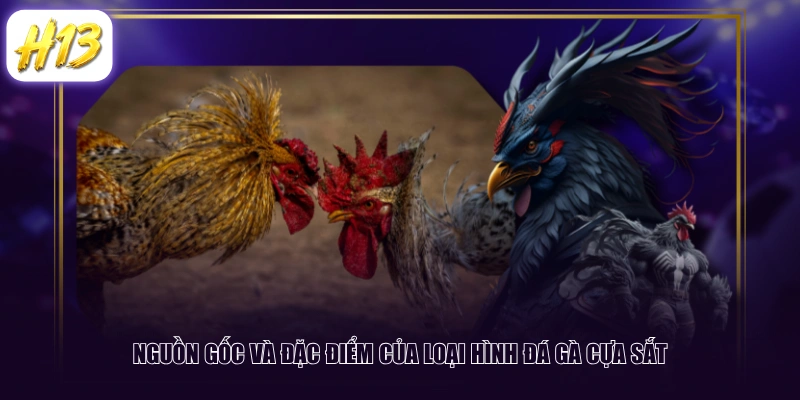 Nguồn gốc và đặc điểm của loại hình đá gà cựa sắt